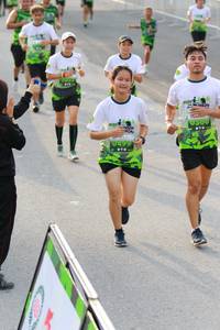 BIB: 499
                            <button type="button" onclick="openModal(3535013)" class="btn btn-primary btn-sm float-right btn-popup" data-toggle="modal" data-target=".modal-high-quality">
                        <i class="fas fa-shopping-cart"></i> Add to Cart
                    </button>
                                            <button type="button" onclick="isThisMe(3535013, true)" class="btn btn-success btn-sm float-right btn-popup btn-isme hidden" data-toggle="tooltip" data-placement="bottom" title="นี่คือรูปของคุณใช่ไหม คลิกที่นี่เพื่อเอาเข้าอัลบั้ม">
                        <i class="fas fa-plus"></i> Add to album
                    </button>
                    <button type="button" onclick="isThisMe(3535013, false)" class="btn btn-warning btn-sm float-right btn-popup btn-isnotme hidden">
                        <i class="fas fa-ban"></i> Remove from album
                    </button>